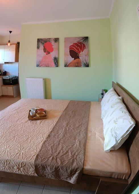 Greenhouse Apartment Patras