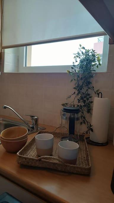 Apartment Greenhouse Patras